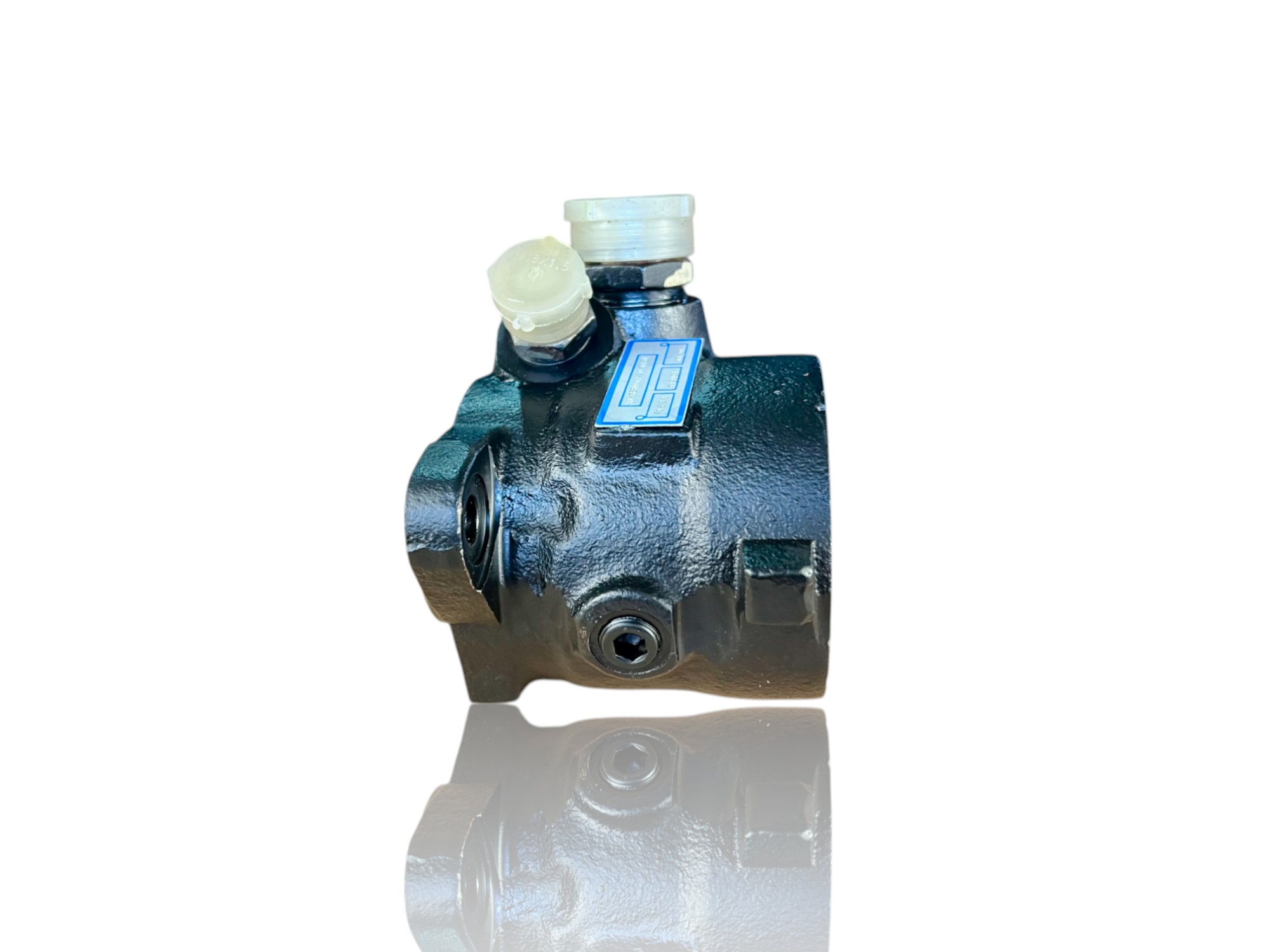 Vairo sistemos hidraulinis siurblys Volvo FH/FM | 4027816057895
