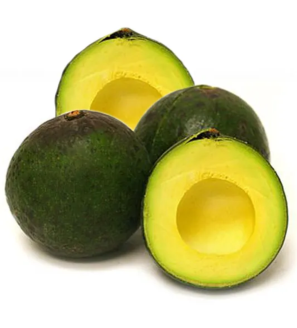 Aguacates Reed