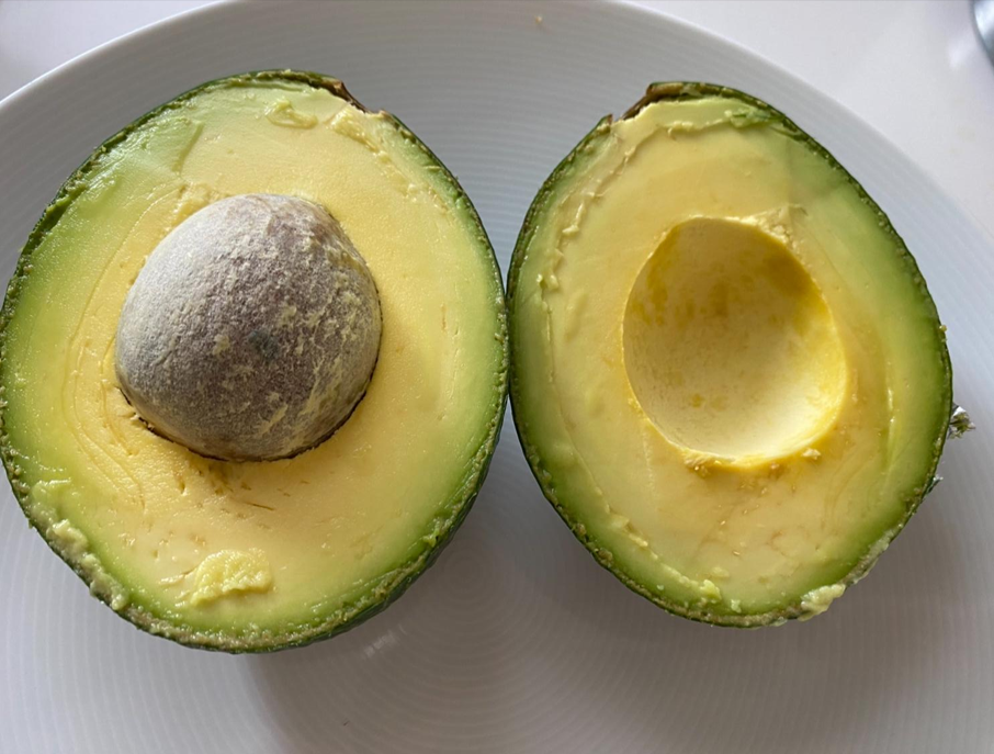 Aguacates Reed