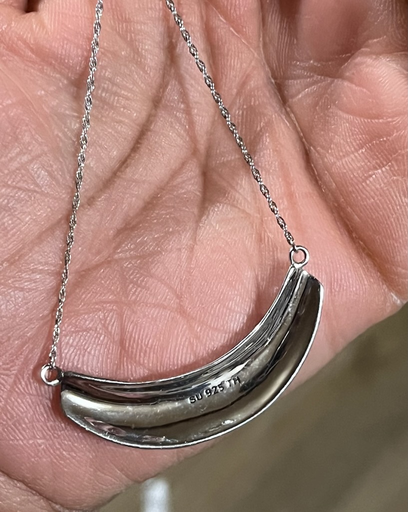 Sterling Silver Crescent Necklace