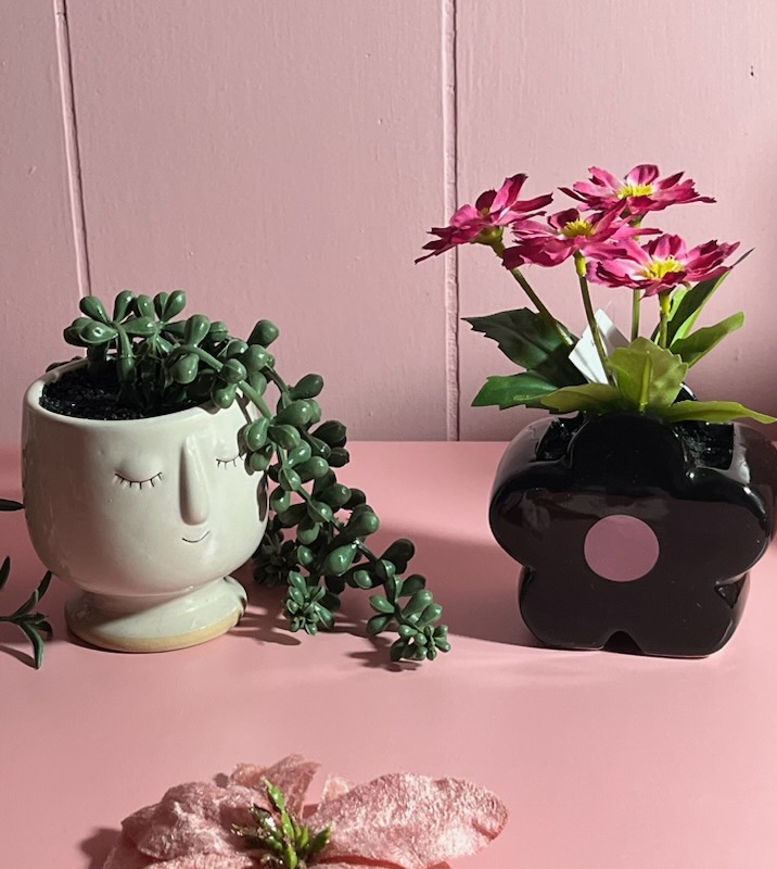 Decorative Artificial Plants