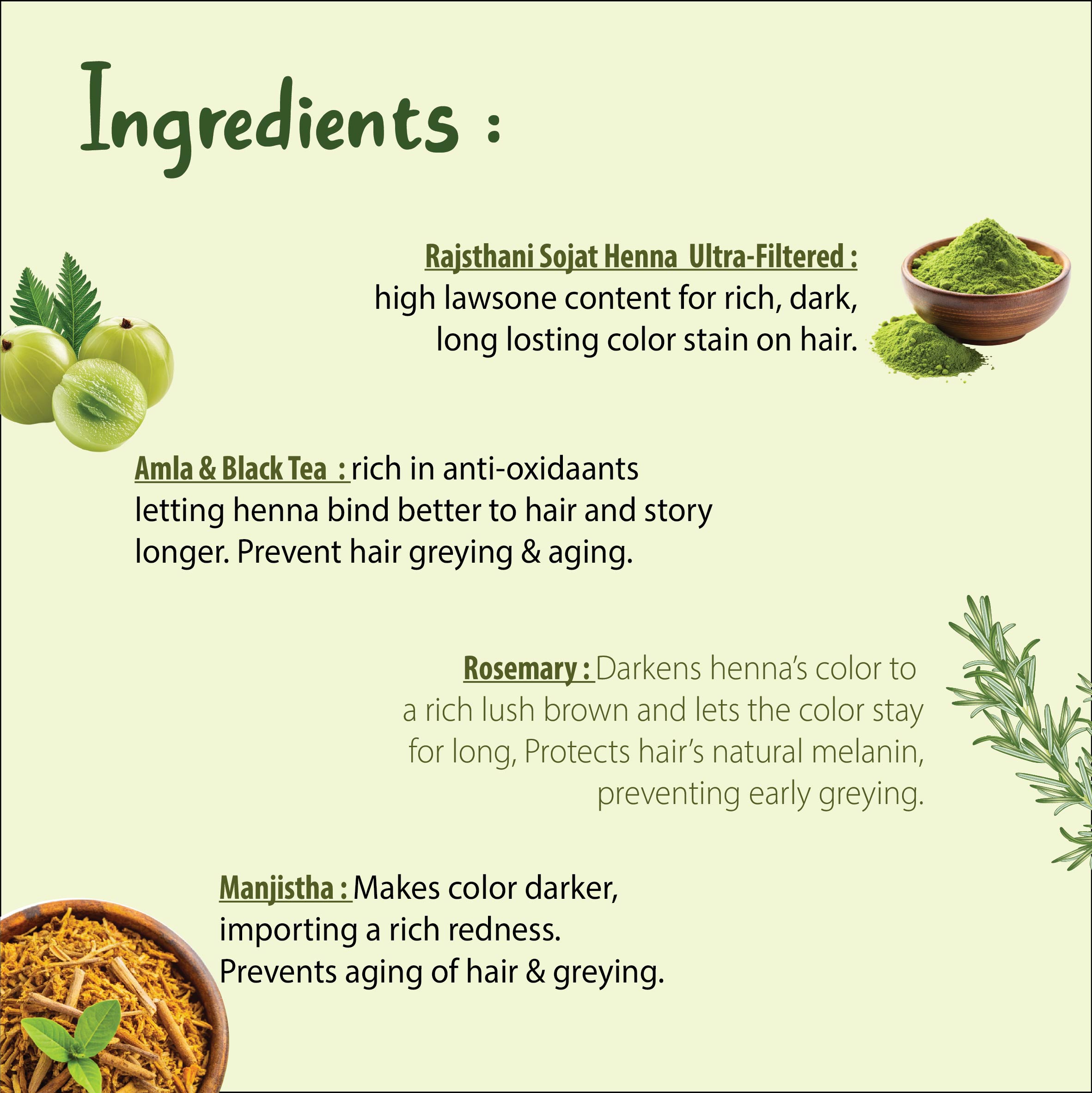 MeeDee Fresh Henna Paste | Pre-Soaked Fresh Henna Paste in Black Tea & 9+ Herbs for Hair | Rich Naturally Colored Hair ( Pack of 1 x 200g)