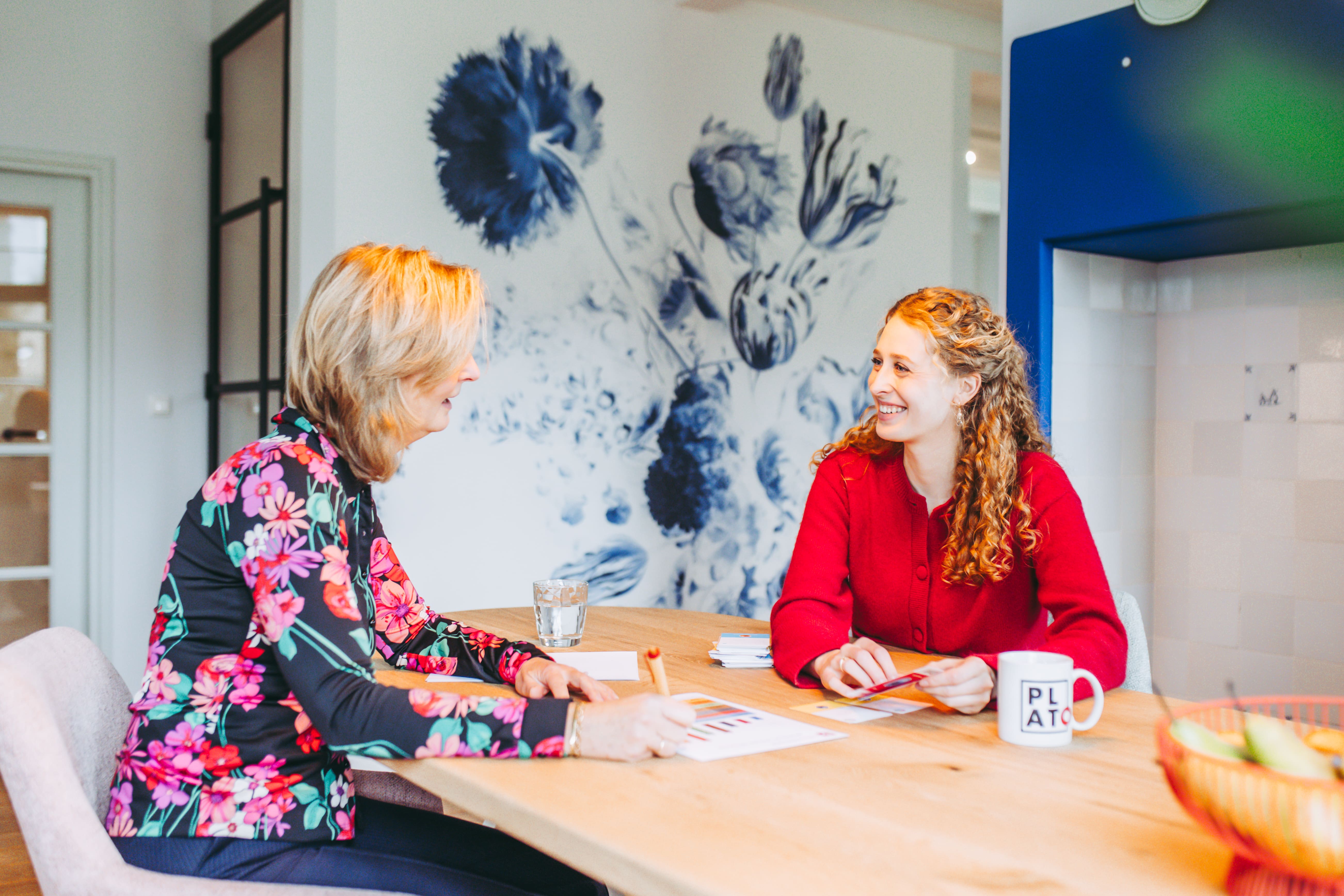 DISCOVER terugkoppelgesprek (verkort)