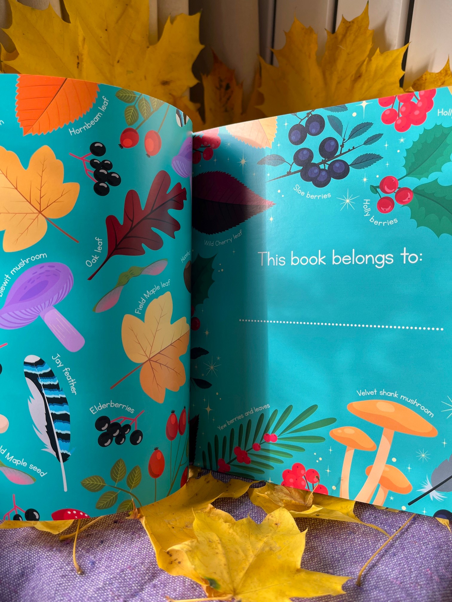 Oh little squirrel! | Illustrated sing-along book