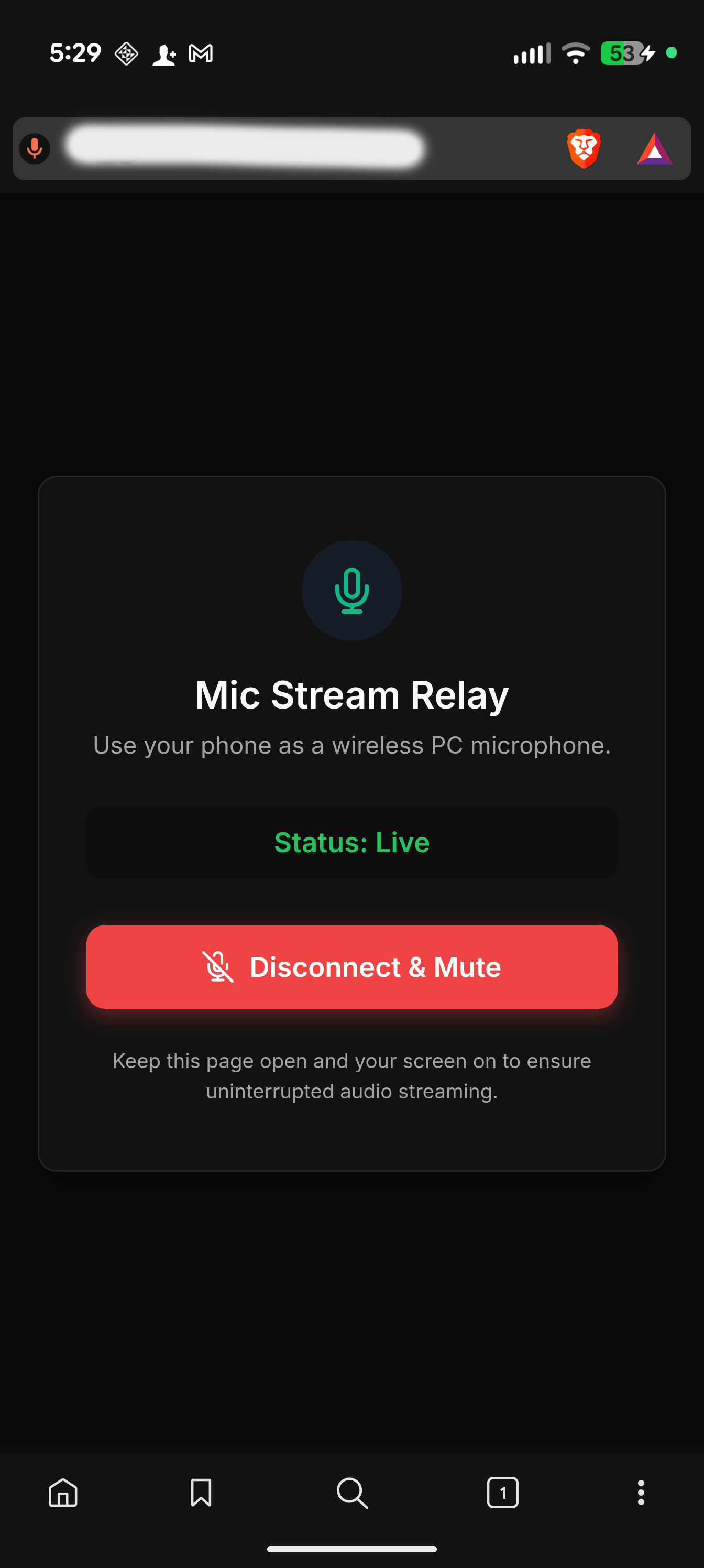 Mic Stream Relay
