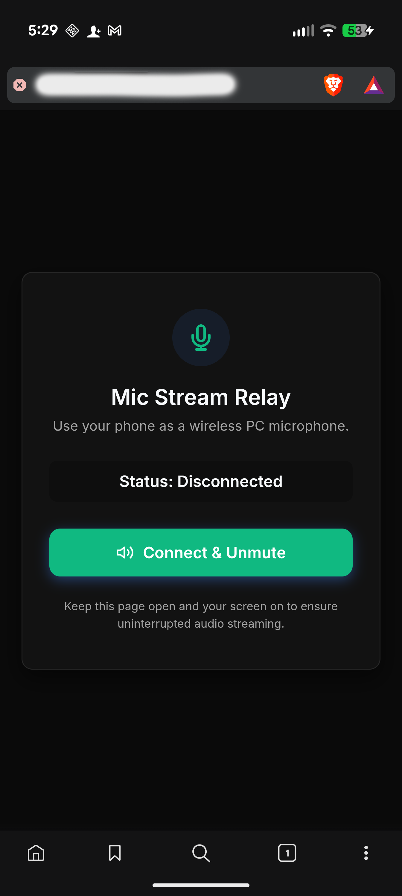 Mic Stream Relay
