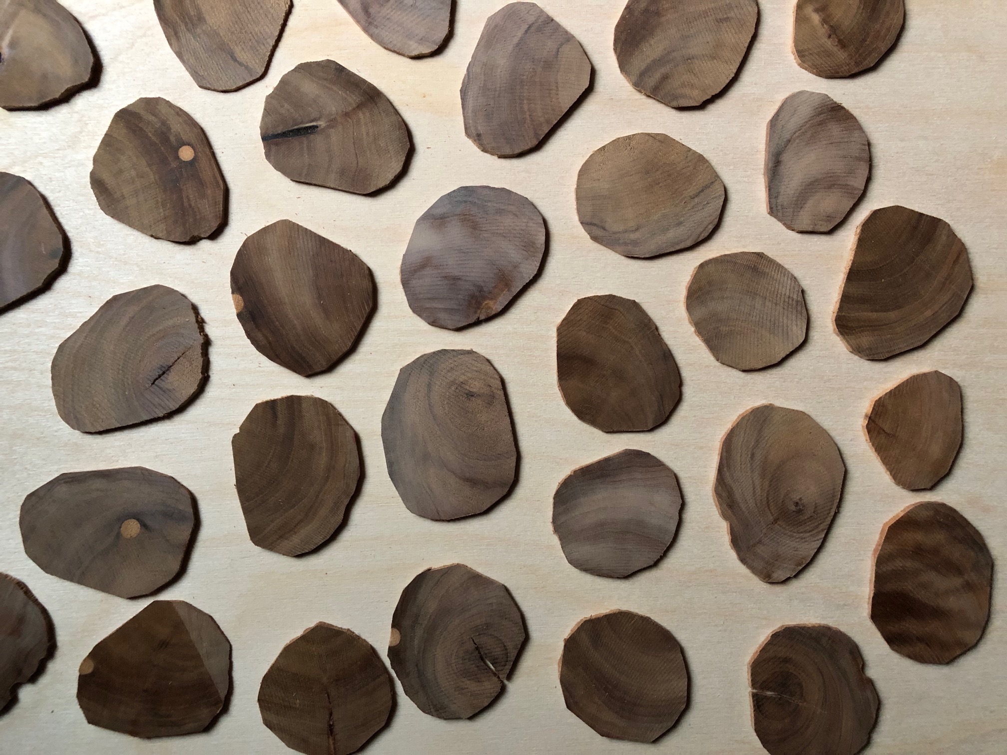 Sandalwood Heartwood Disks