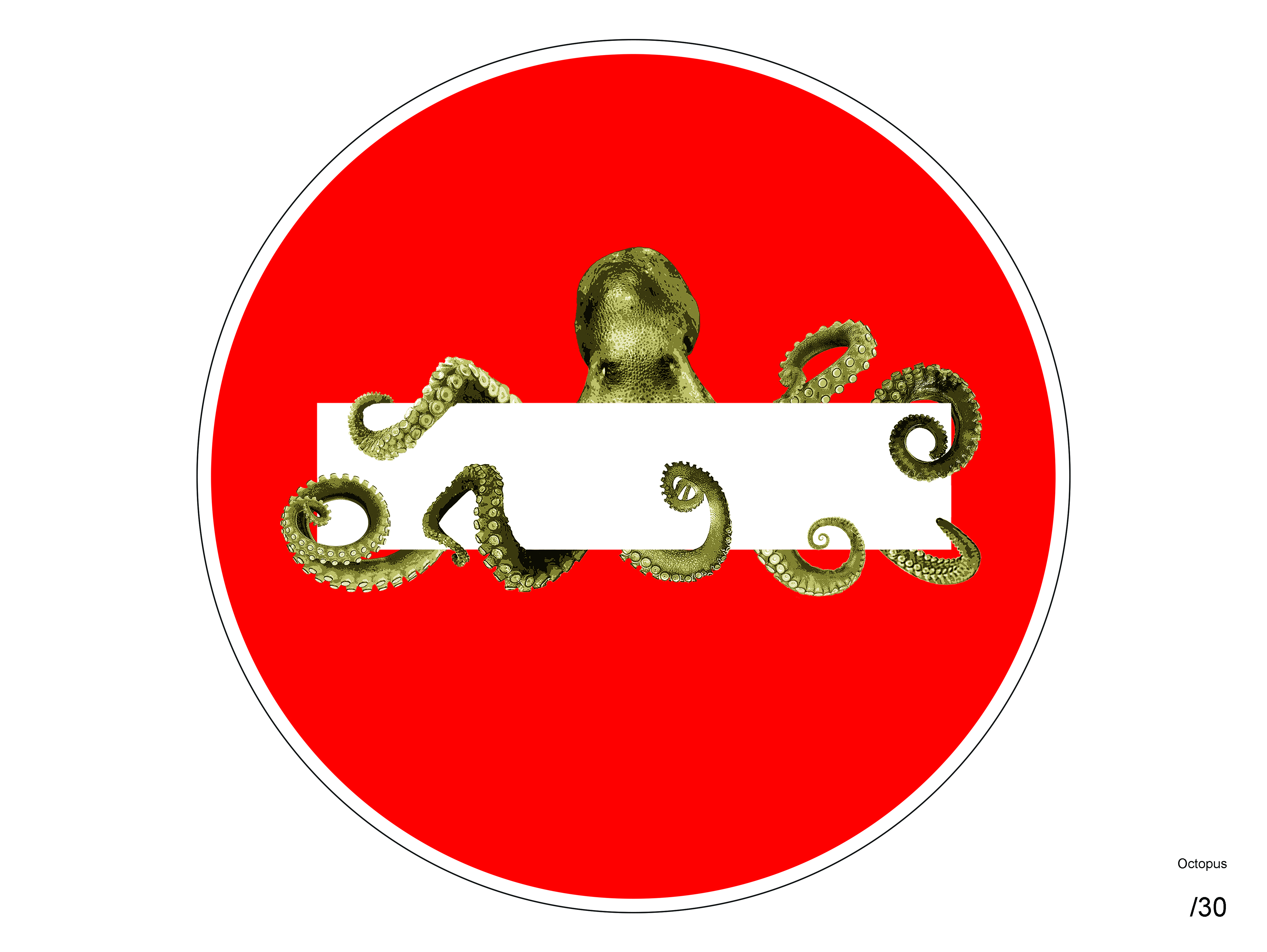 OCTOPUS