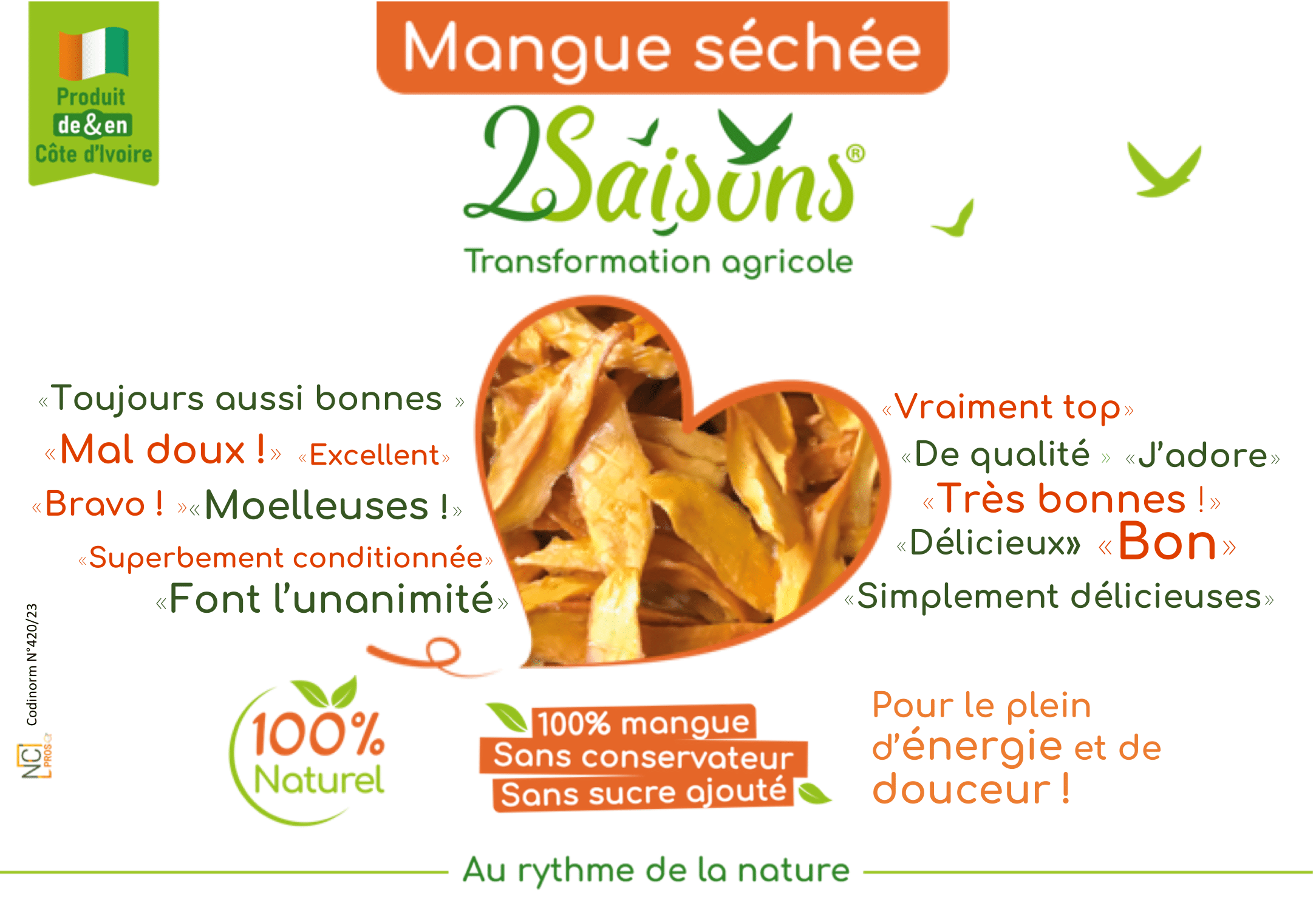 Mangue séchées 100g 