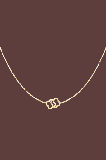 Linked luck necklace 