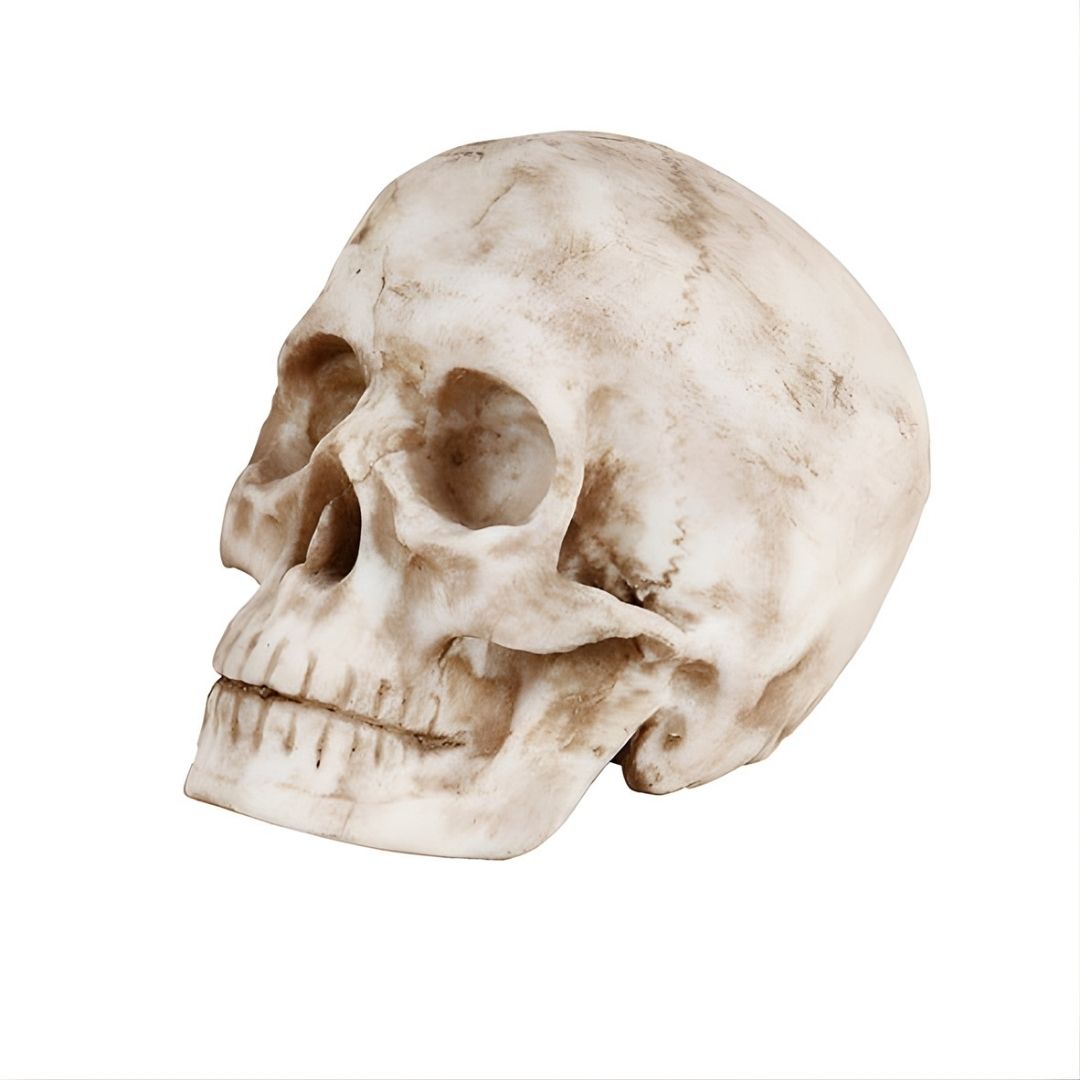 ESCULTURA CAVEIRA MONALISA RESINA BRANCO MODALI DESIGN