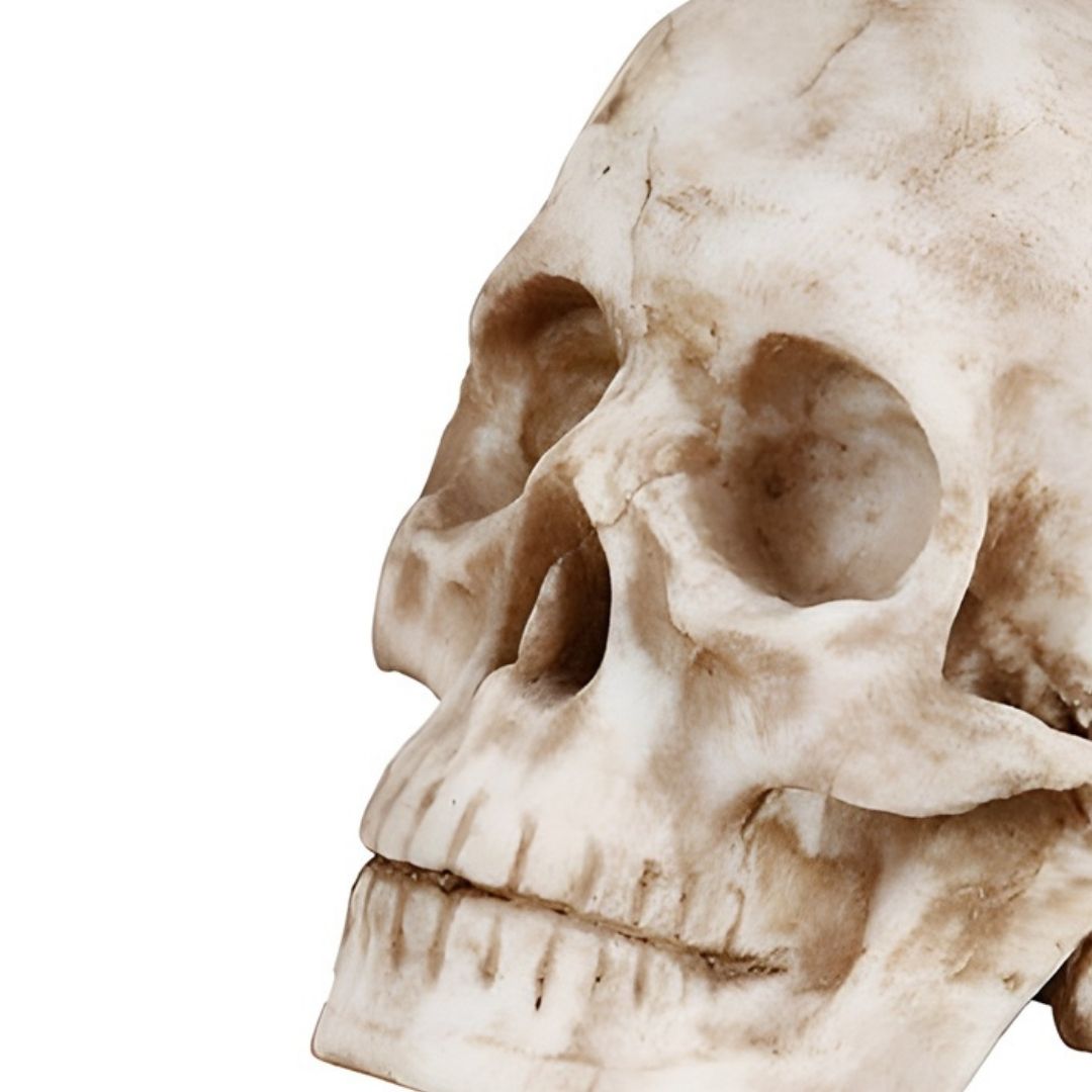 ESCULTURA CAVEIRA MONALISA RESINA BRANCO MODALI DESIGN