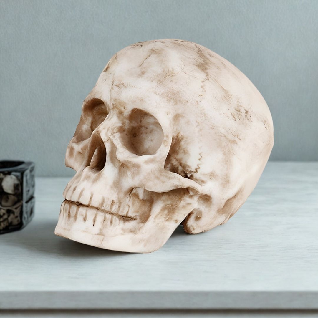 ESCULTURA CAVEIRA MONALISA RESINA BRANCO MODALI DESIGN