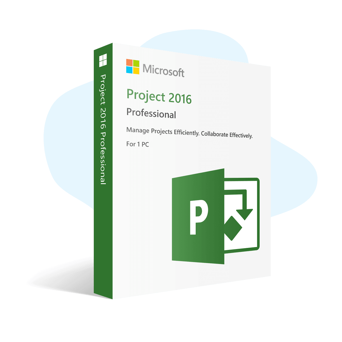 Project 2016 Professional