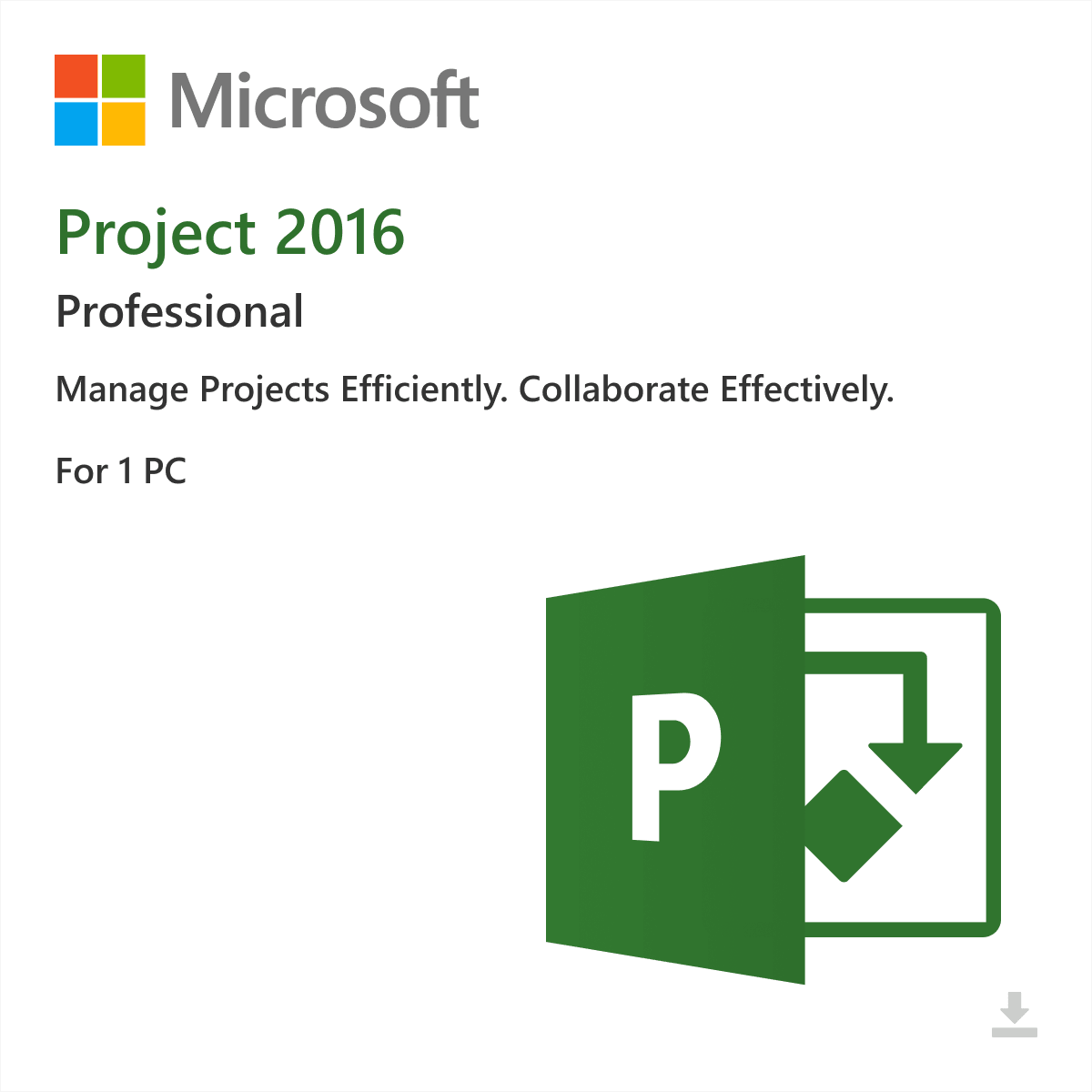 Project 2016 Professional