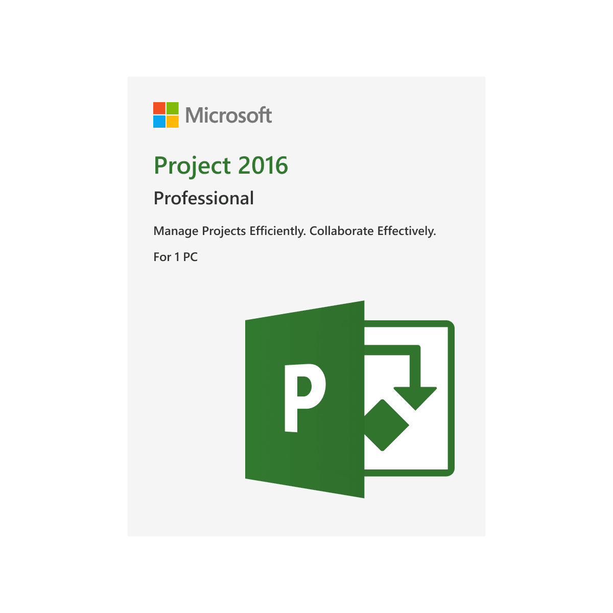 Project 2016 Professional