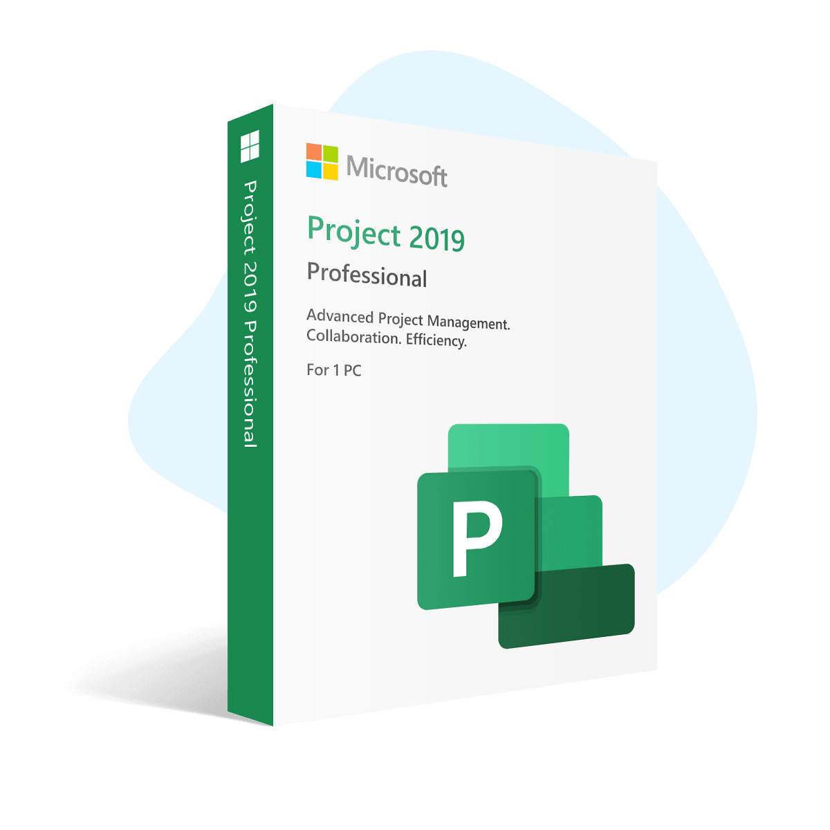 Project 2019 Professional