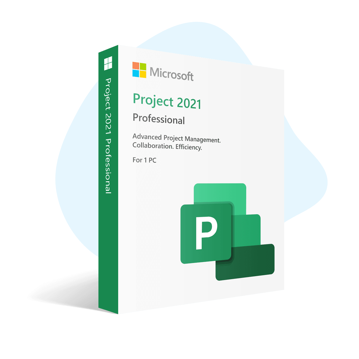Project 2021 Professional