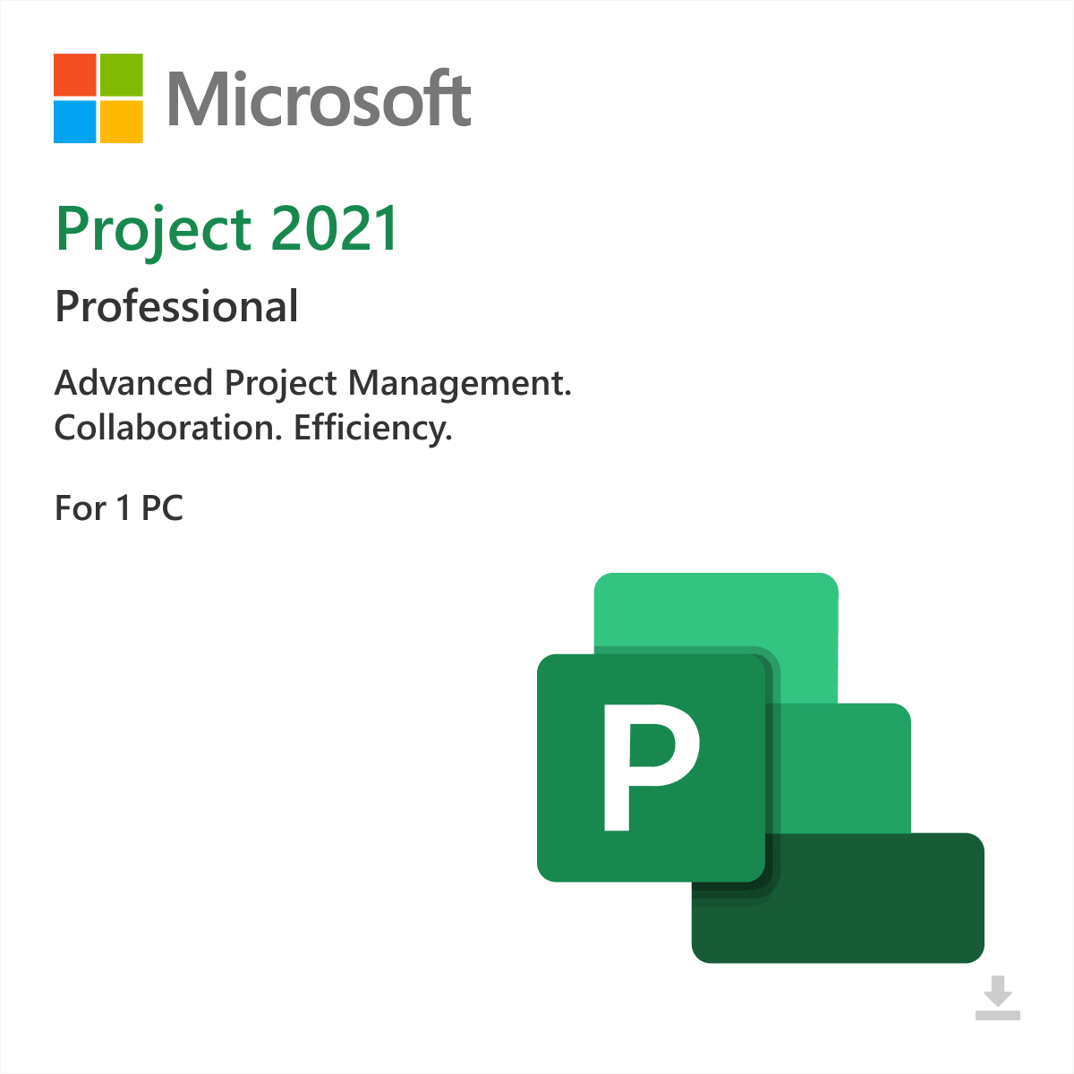 Project 2021 Professional