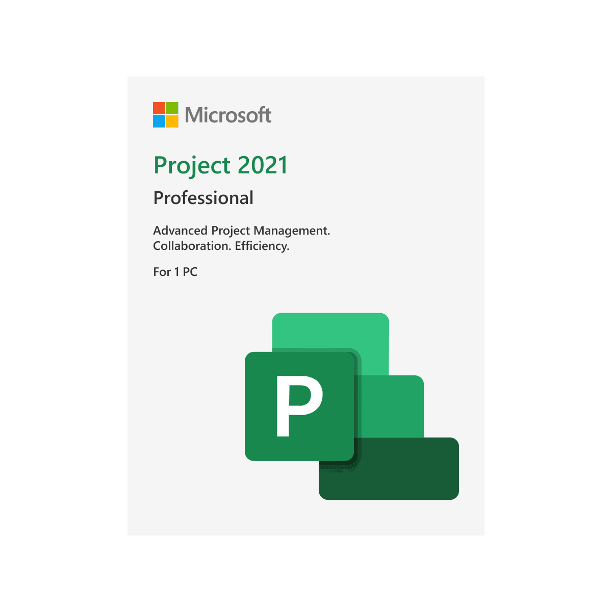 Project 2021 Professional