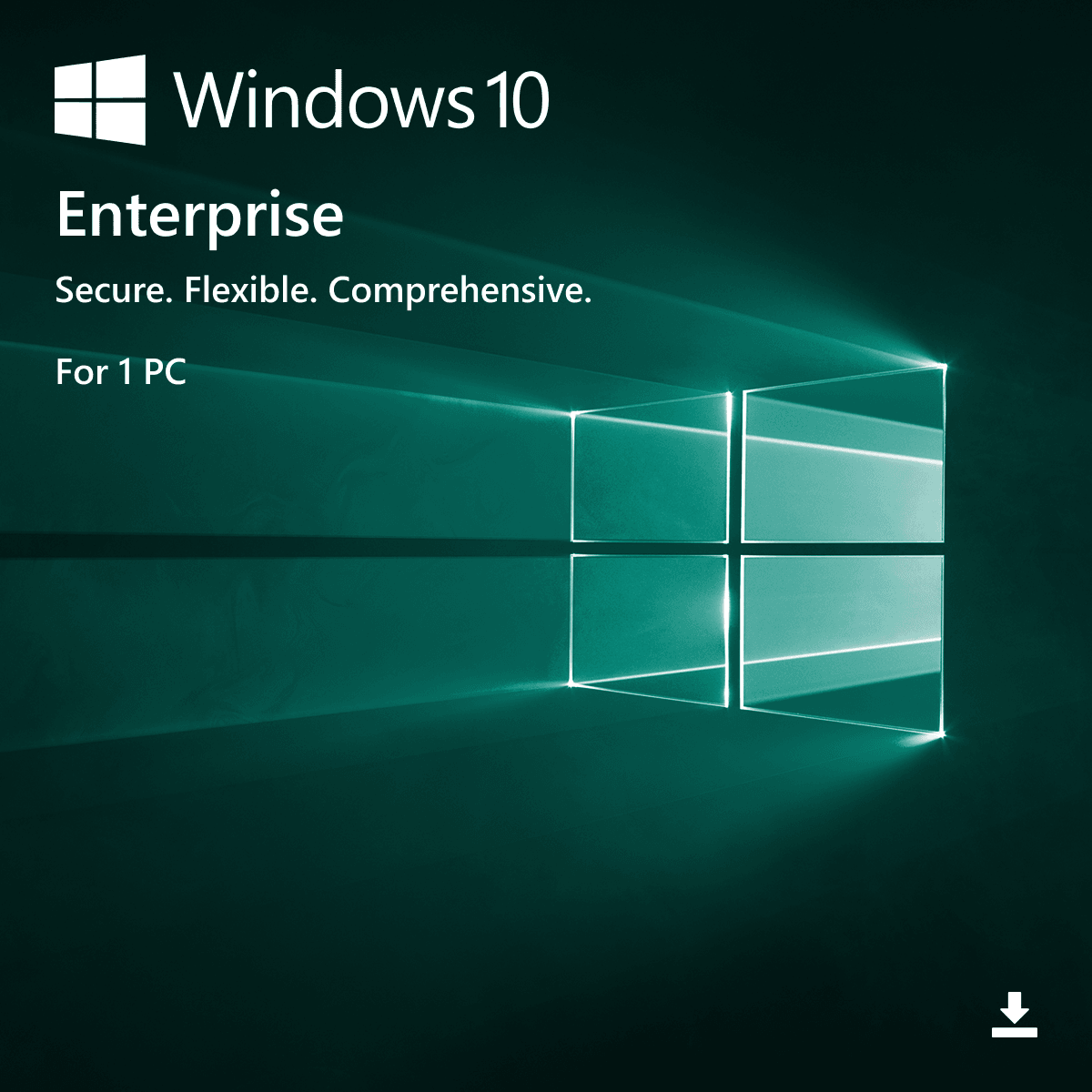 Windows 10 Enterprise Retail
