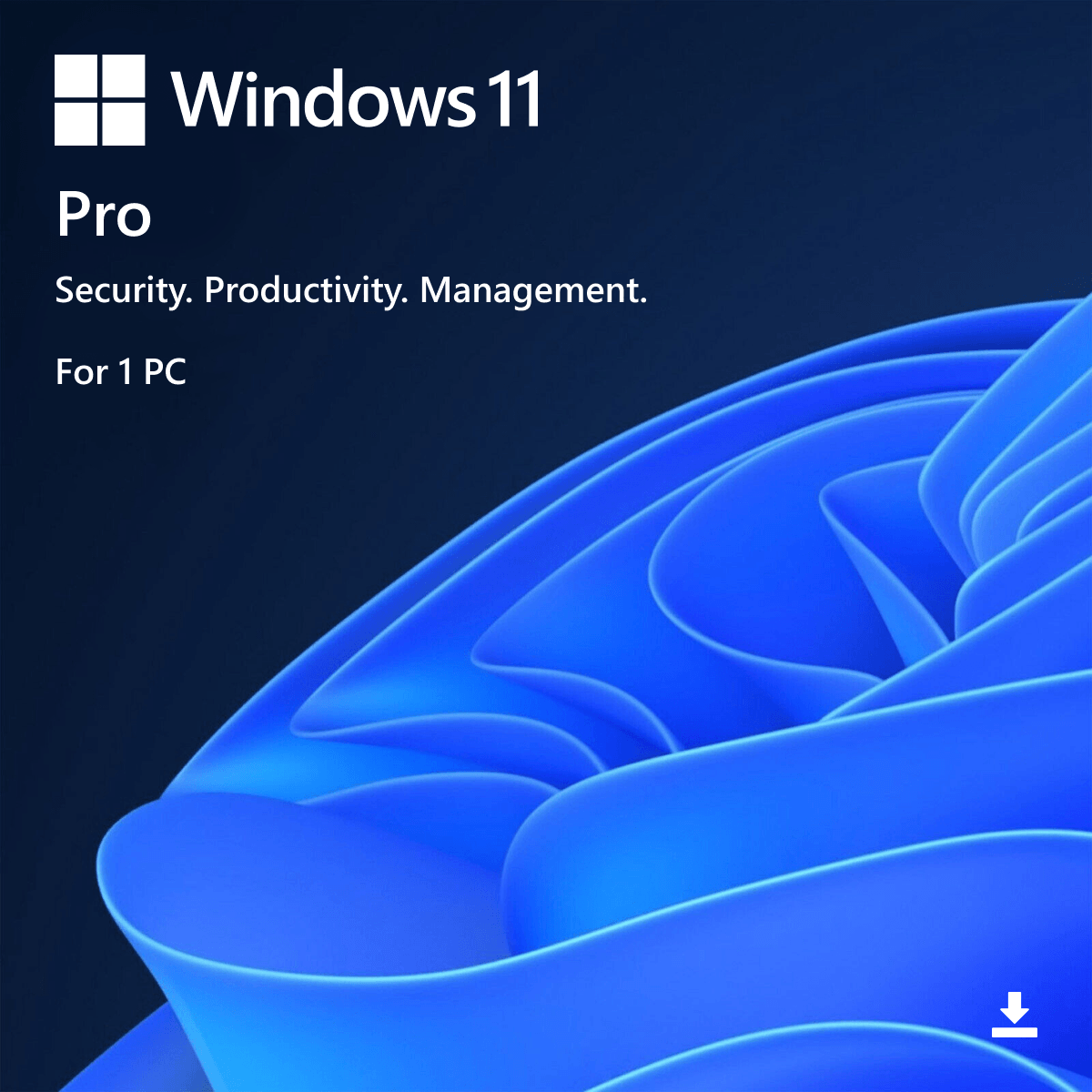 Windows 11 Pro Retail