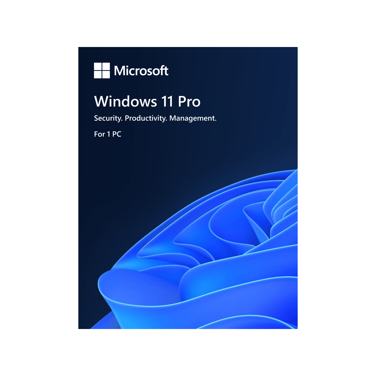 Windows 11 Pro Retail