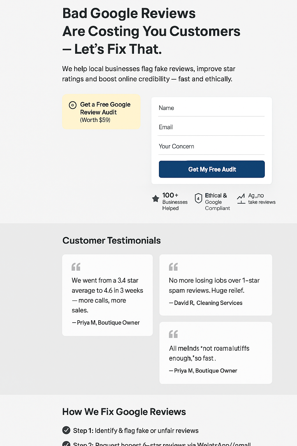 Google Review Audit Service