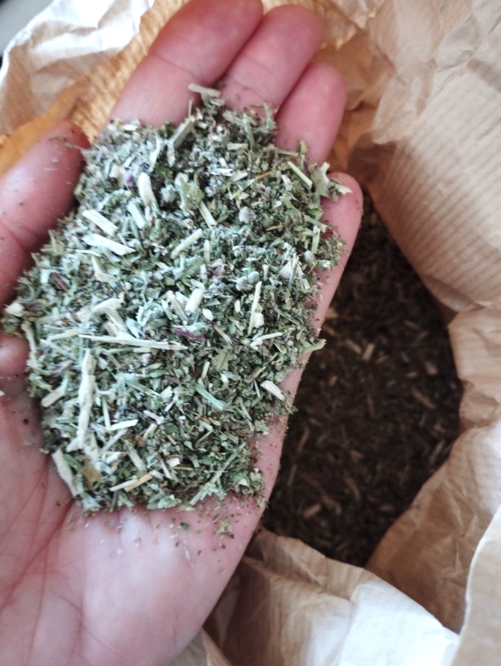 HERBES à CHAT séchées