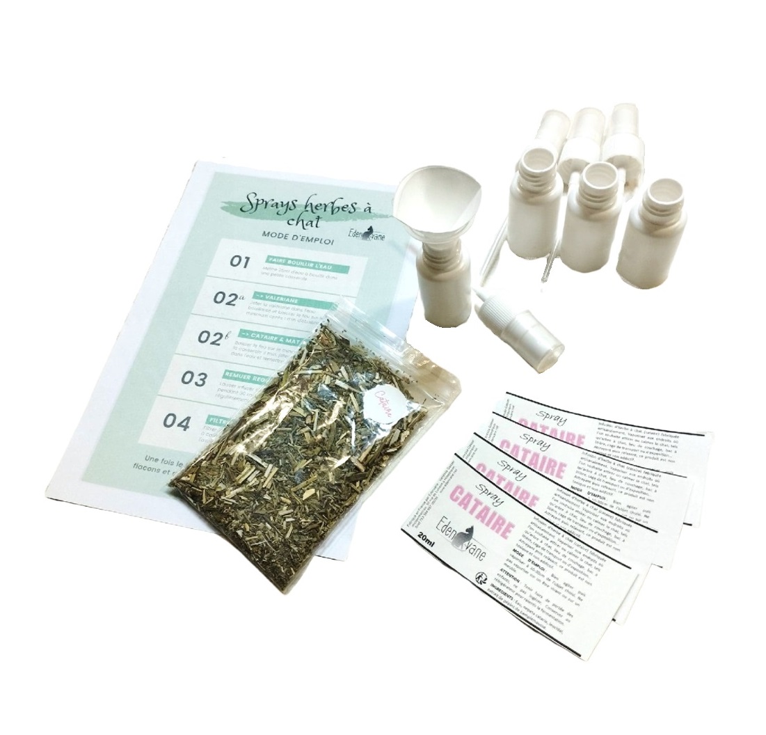 Kit Sprays herbes à chat maison
