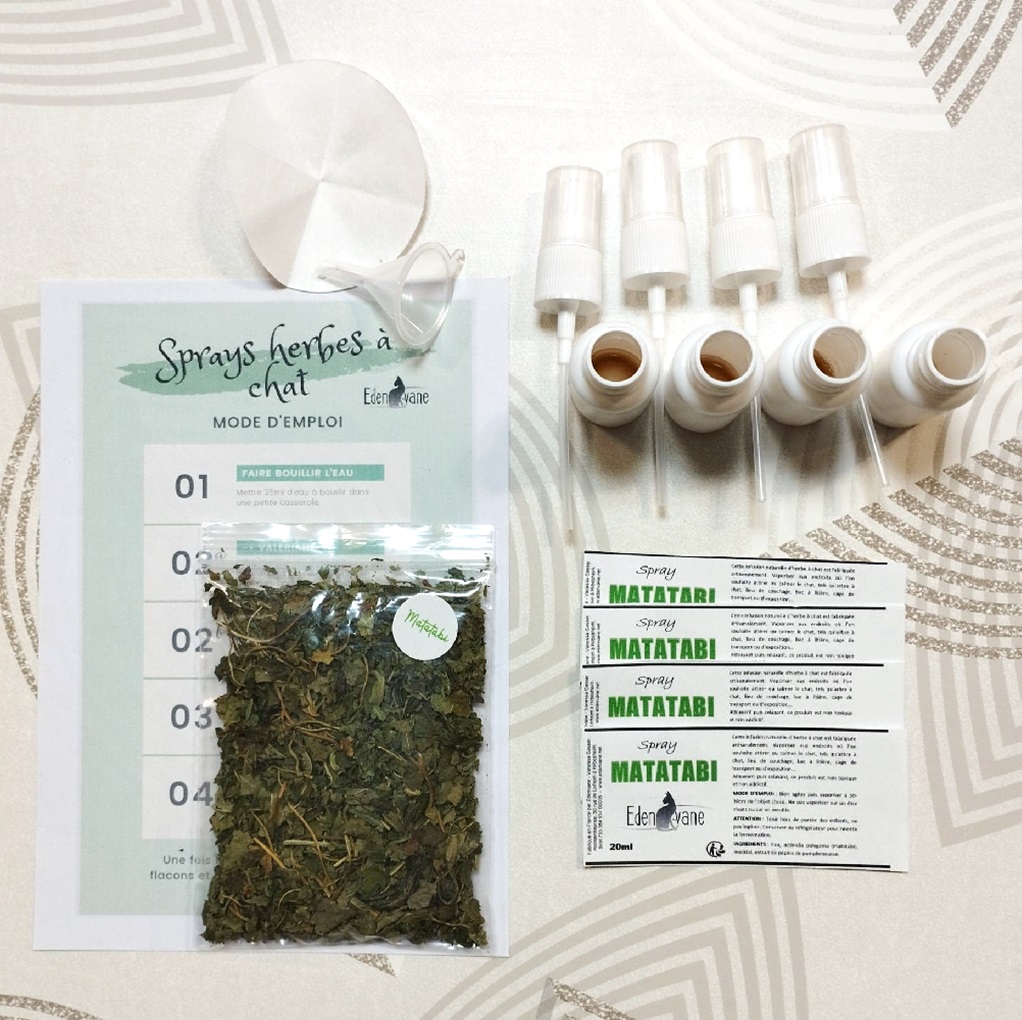 Kit Sprays herbes à chat maison