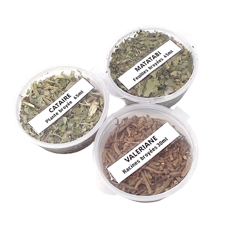 HERBES à CHAT séchées