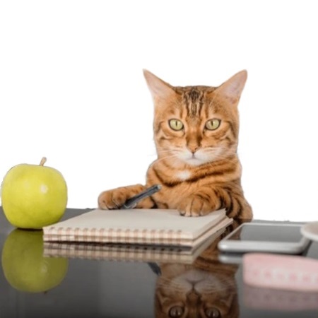 Forfait ALIMENTATION chat