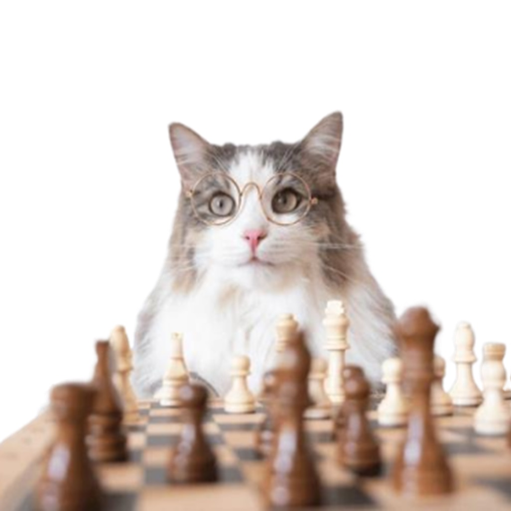 OPTIMISATION DE L'OCCUPATION ET DE L'ENVIRONNENEMENT (pour professionnels du chat)