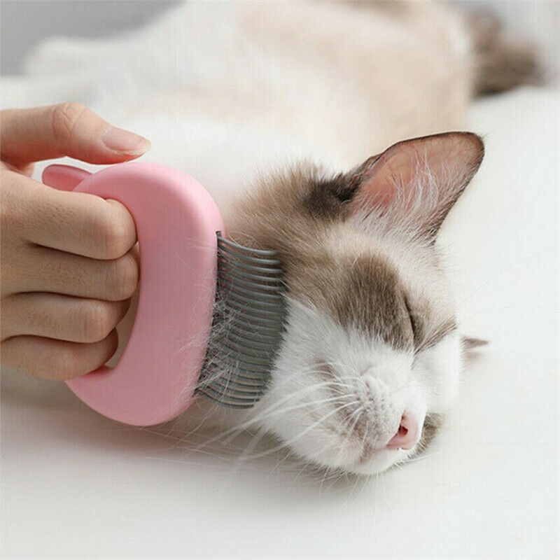 Peigne de TOILETTAGE