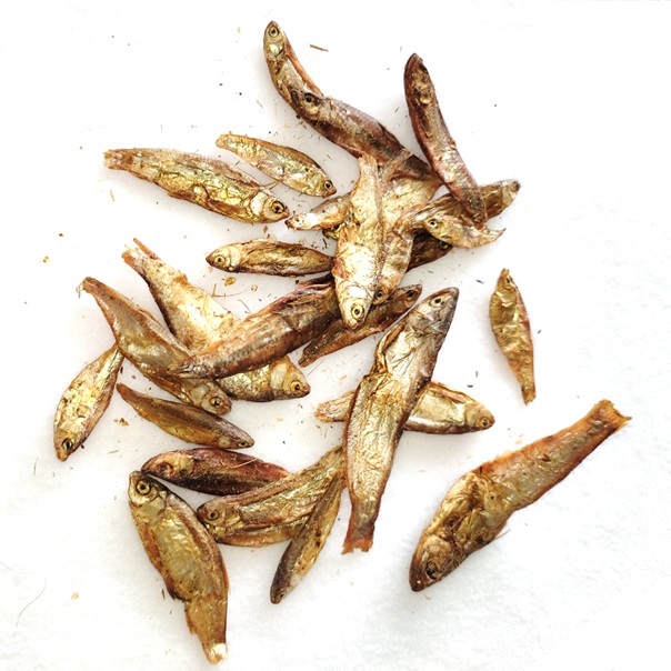 Petits POISSONS déshydratés