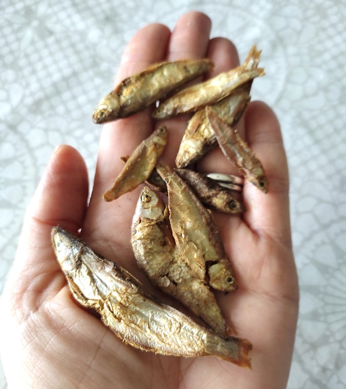 Petits POISSONS déshydratés