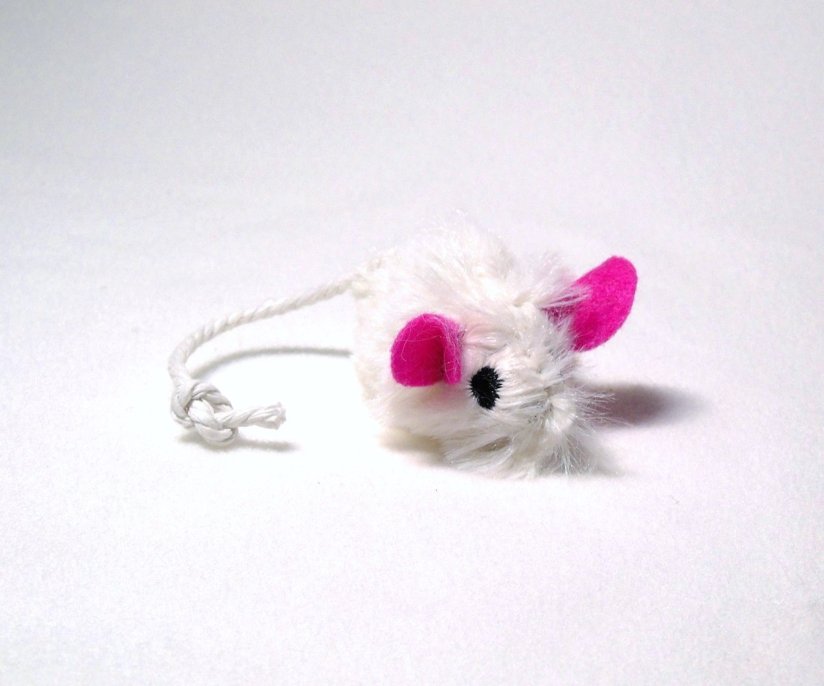 SOURIS catnip