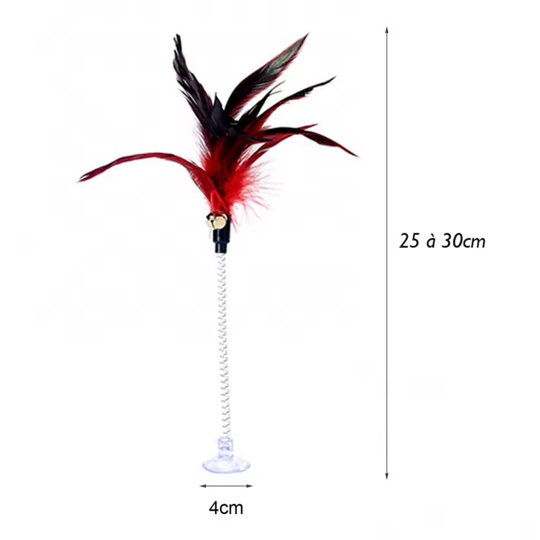 Plumes sur RESSORT et ventouse