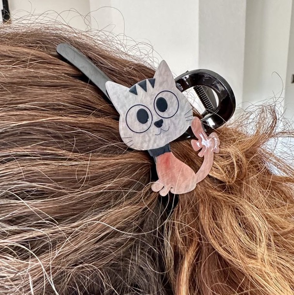 Grande PINCE à CHEVEUX