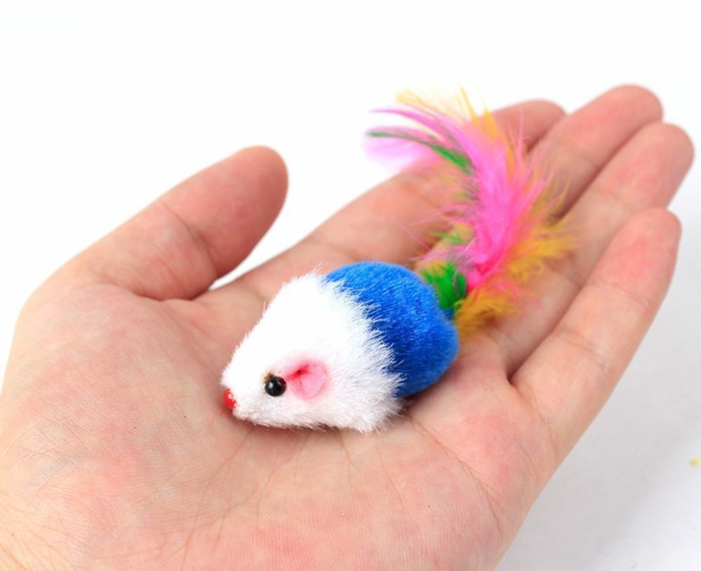 SOURIS plumes
