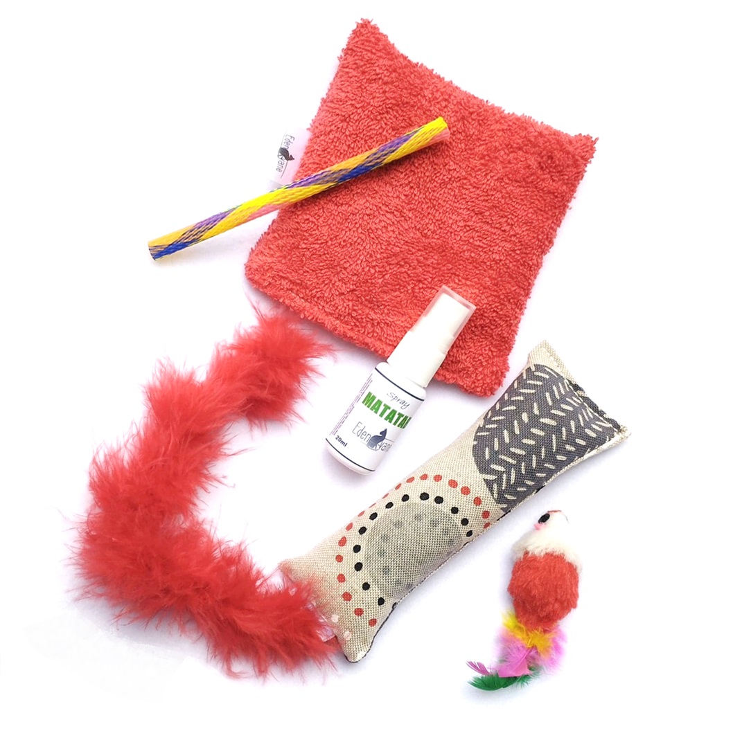 Kit CHATON Basic