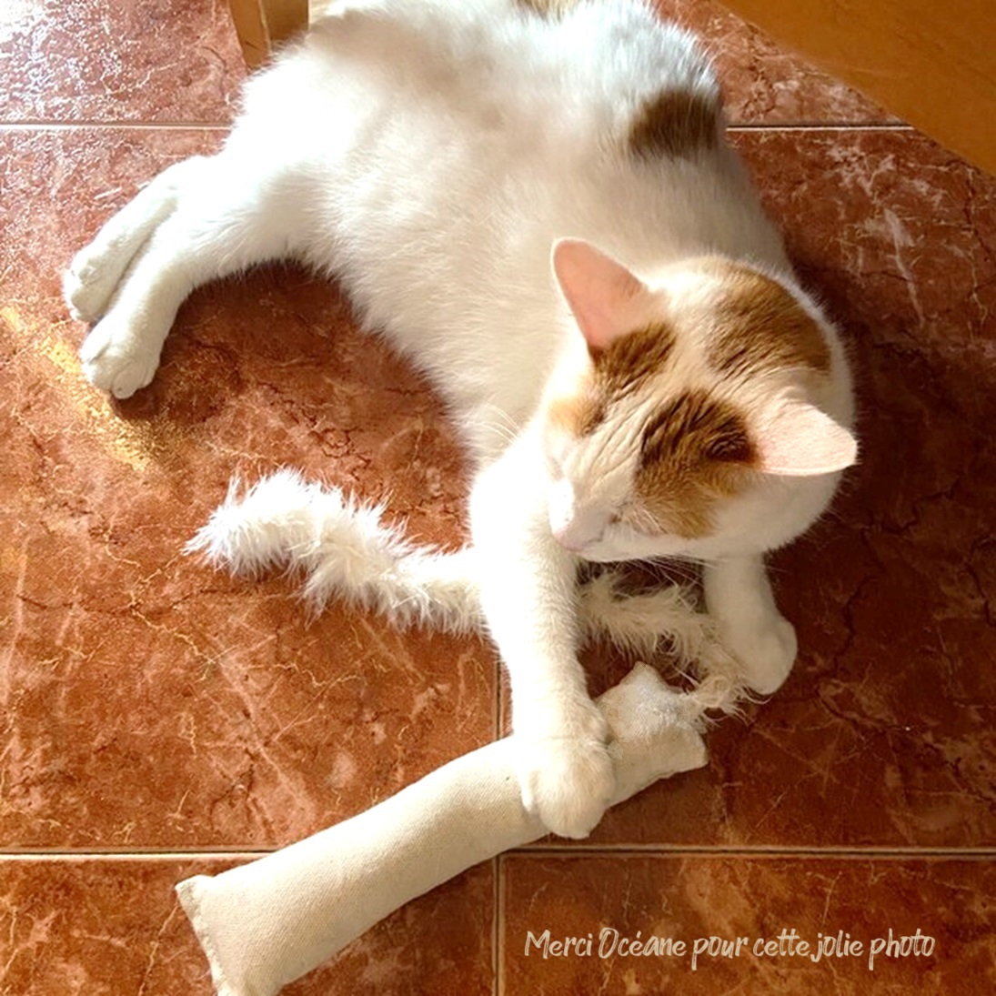 Le STICK Marabout Nature