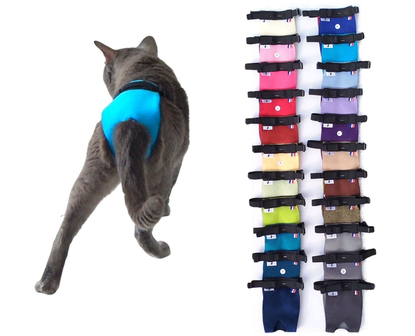 Culotte Express