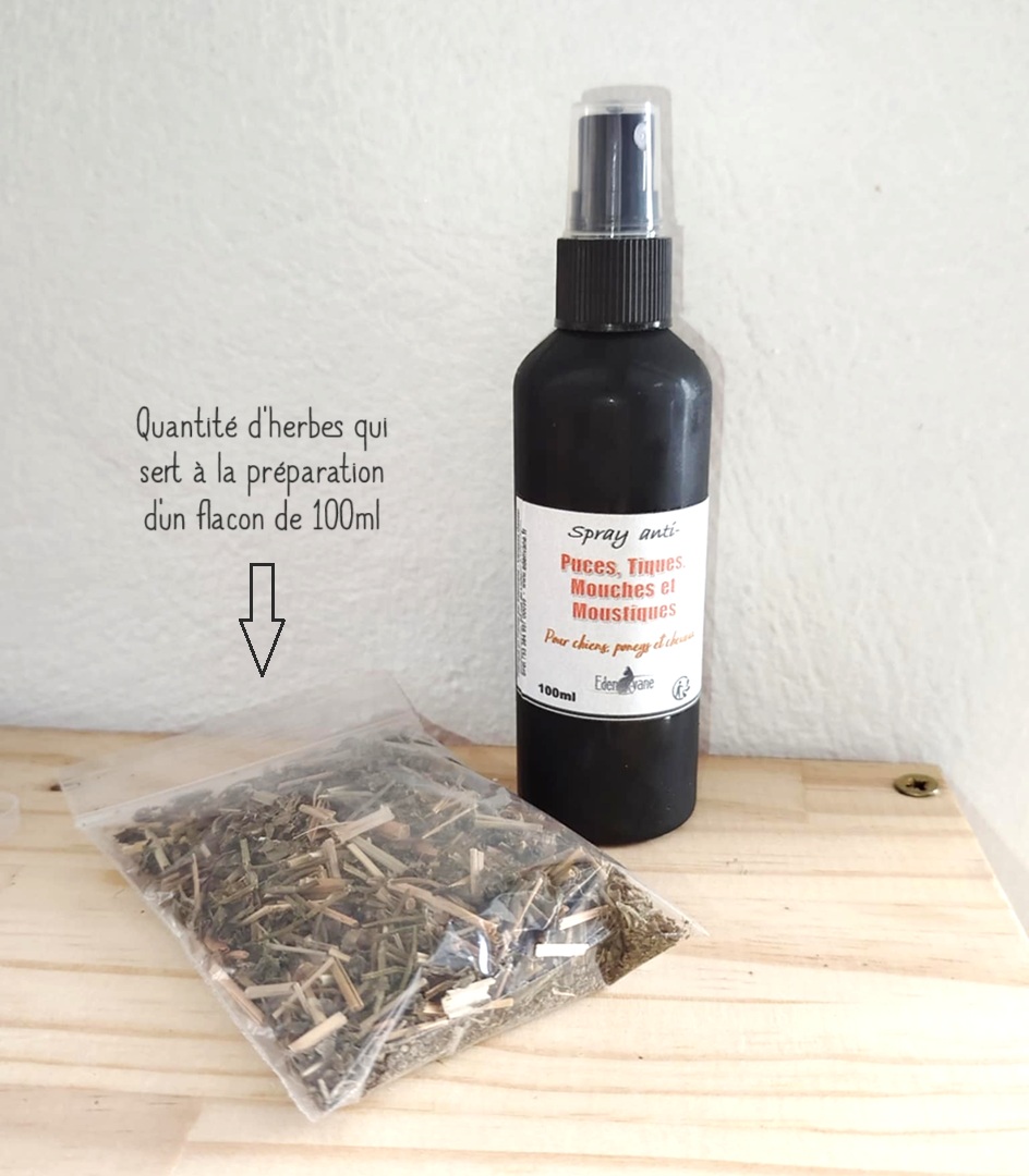 Anti MOUCHES, TIQUES, TAONS, PUCES et MOUSTIQUES