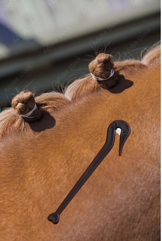 COUPE-ELASTIQUES crins