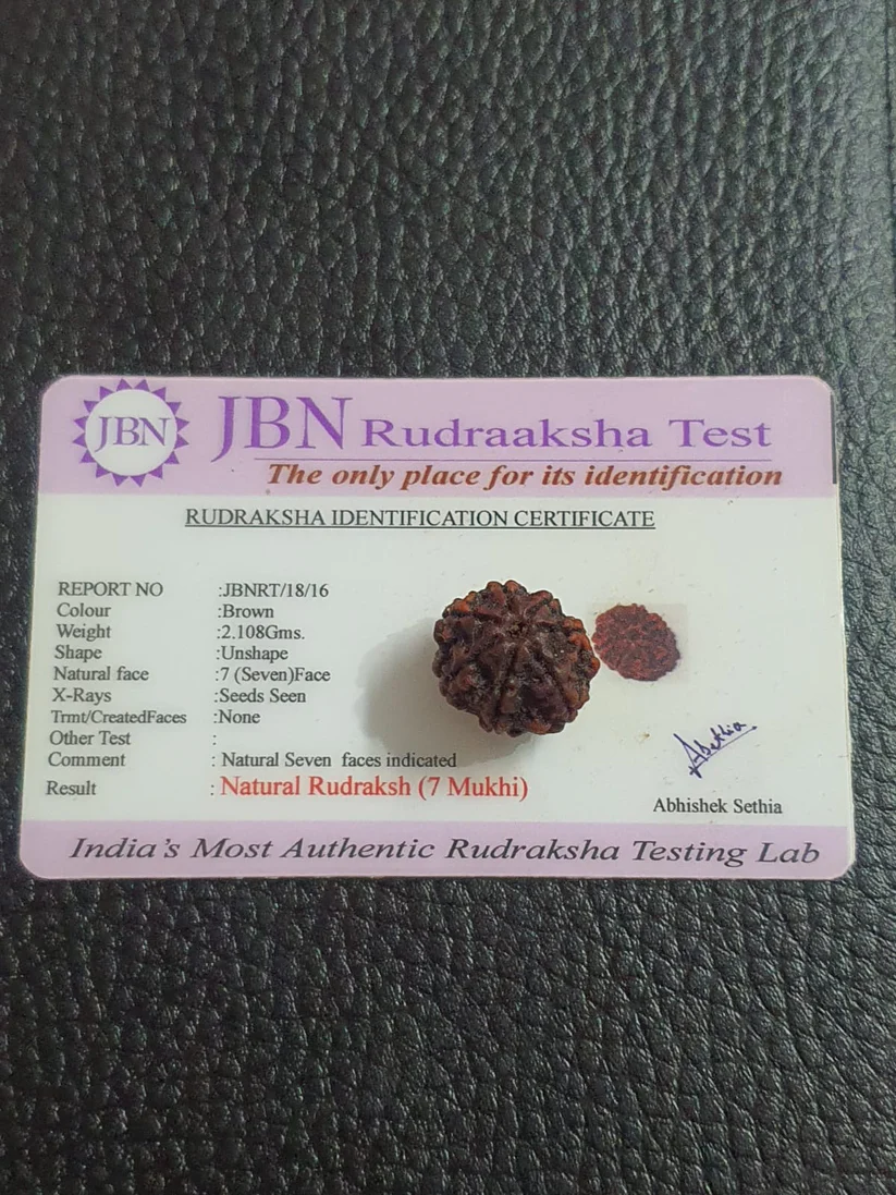 Natural Rudraksha (7 Mukhi)