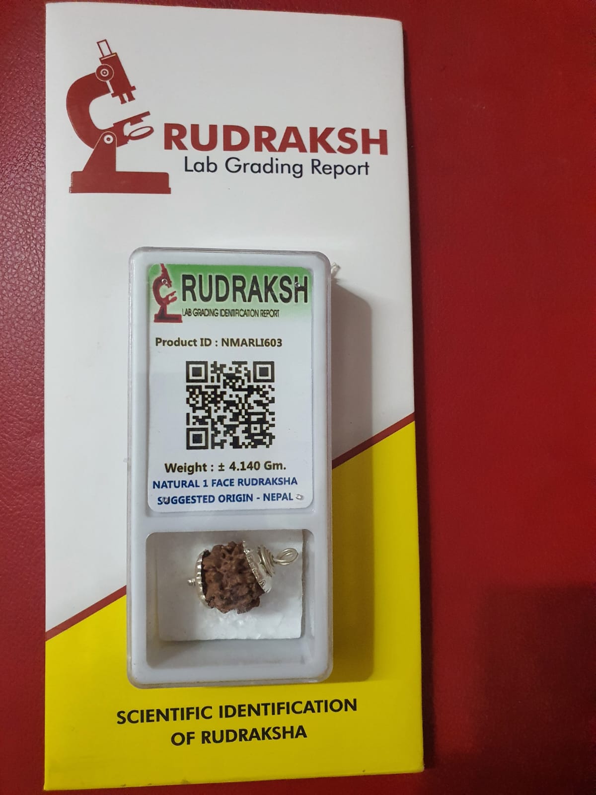 Rudraksha Bead