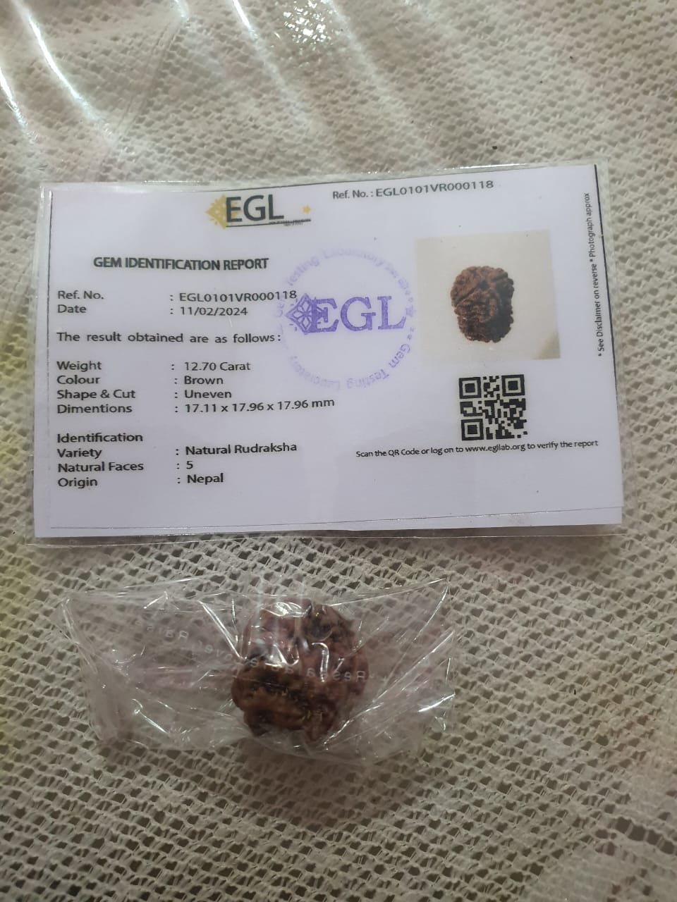 Natural Rudraksha