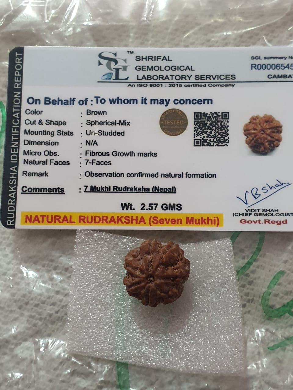 Natural Rudraksha
